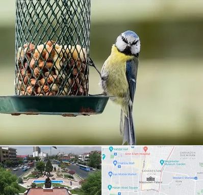 فروشگاه غذای پرندگان در بهارستان