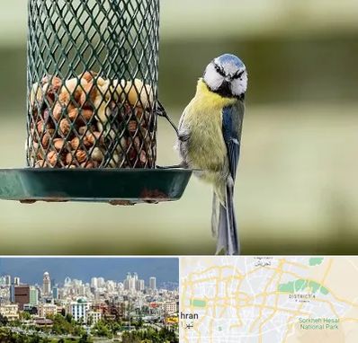 فروشگاه غذای پرندگان در شرق تهران