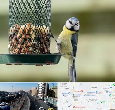 فروشگاه غذای پرندگان در پیروزی