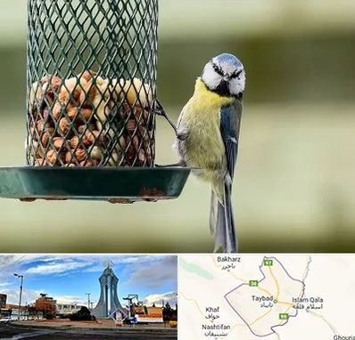 فروشگاه غذای پرندگان در تایباد