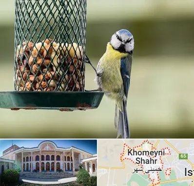 فروشگاه غذای پرندگان در خمینی شهر
