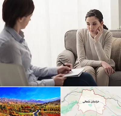 دکتر روانپزشک در خراسان شمالی