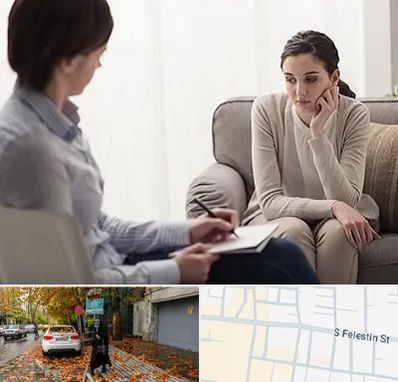 دکتر روانپزشک در خیابان فلسطین