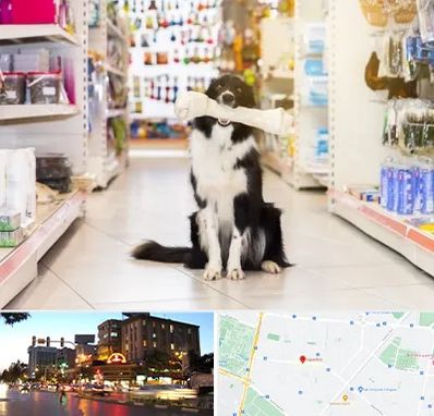 فروشگاه لوازم حیوانات خانگی در بلوار سجاد مشهد