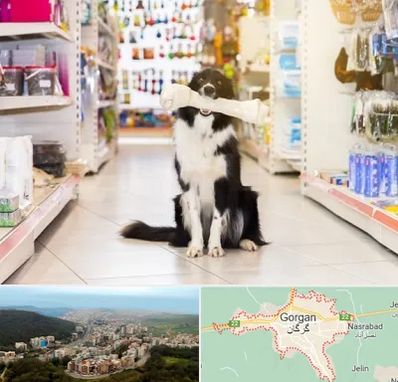 فروشگاه لوازم حیوانات خانگی در گرگان