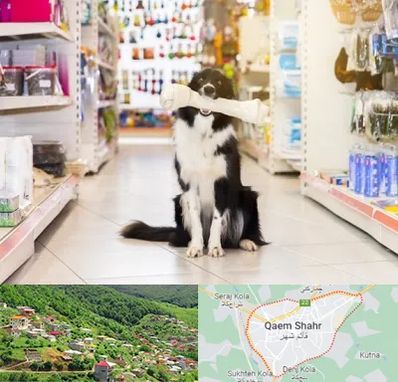 فروشگاه لوازم حیوانات خانگی در قائم شهر