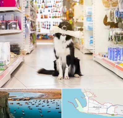 فروشگاه لوازم حیوانات خانگی در چابهار