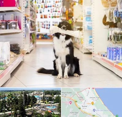 فروشگاه لوازم حیوانات خانگی در رودسر