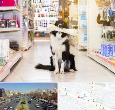 فروشگاه لوازم حیوانات خانگی در بلوار معلم مشهد