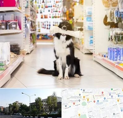 فروشگاه لوازم حیوانات خانگی در میدان کاج