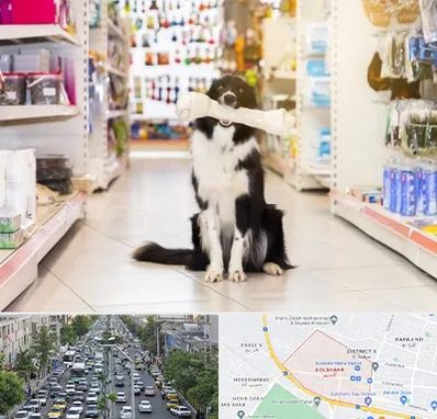 فروشگاه لوازم حیوانات خانگی در گلشهر کرج