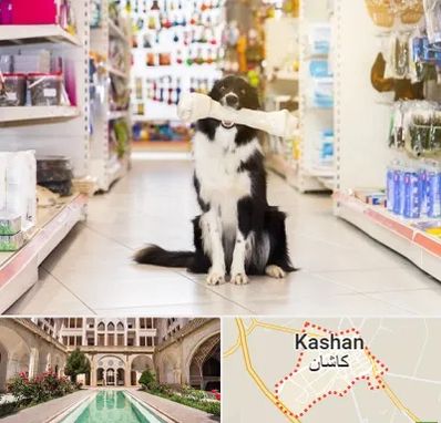 فروشگاه لوازم حیوانات خانگی در کاشان