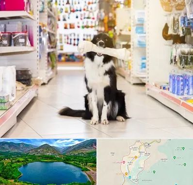 فروشگاه لوازم حیوانات خانگی در رودبار