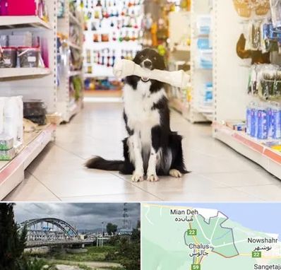 فروشگاه لوازم حیوانات خانگی در چالوس