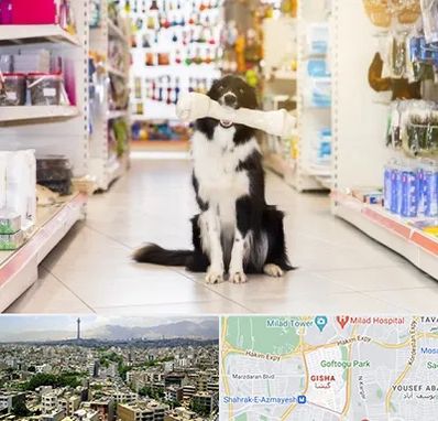 فروشگاه لوازم حیوانات خانگی در گیشا