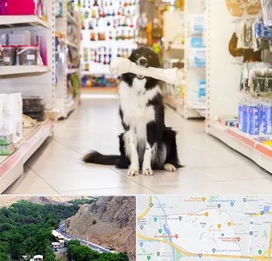 فروشگاه لوازم حیوانات خانگی در کن