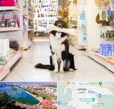 فروشگاه لوازم حیوانات خانگی در لاهیجان