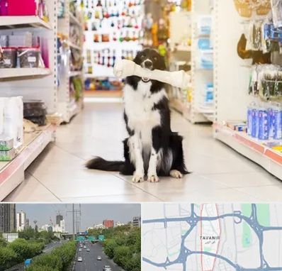 فروشگاه لوازم حیوانات خانگی در توانیر