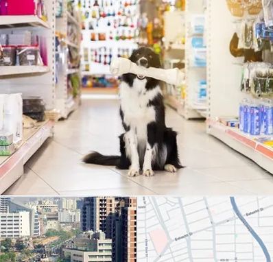 فروشگاه لوازم حیوانات خانگی در خیابان بهشتی