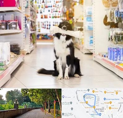 فروشگاه لوازم حیوانات خانگی در فلکه گاز رشت