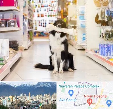 فروشگاه لوازم حیوانات خانگی در آجودانیه