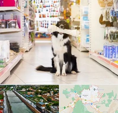 فروشگاه لوازم حیوانات خانگی در مراغه