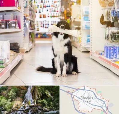 فروشگاه لوازم حیوانات خانگی در الیگودرز