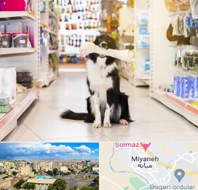 فروشگاه لوازم حیوانات خانگی در میانه