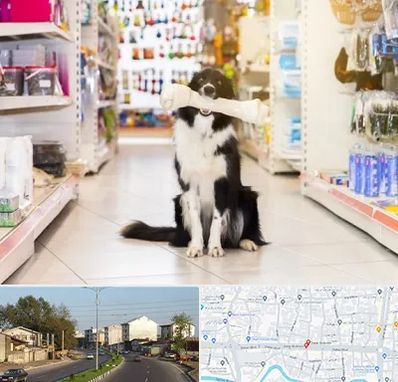 فروشگاه لوازم حیوانات خانگی در ضیابری رشت