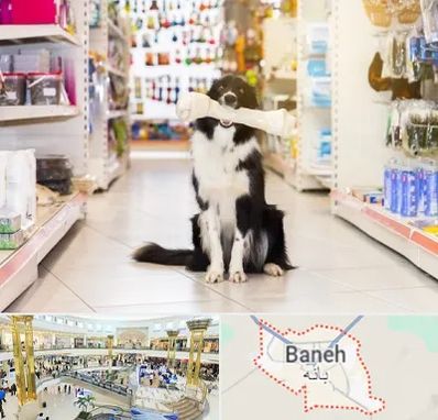 فروشگاه لوازم حیوانات خانگی در بانه