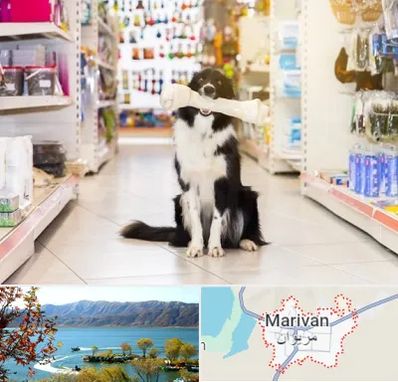 فروشگاه لوازم حیوانات خانگی در مریوان