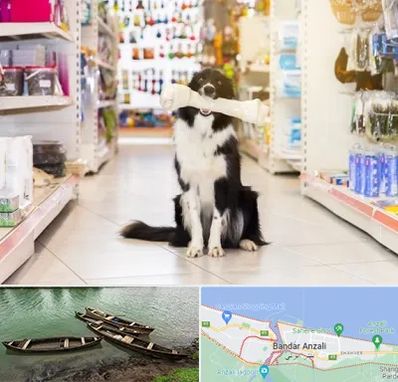 فروشگاه لوازم حیوانات خانگی در بندر انزلی