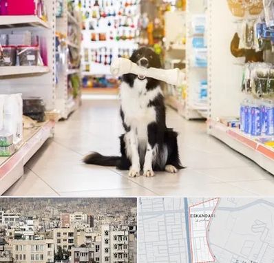 فروشگاه لوازم حیوانات خانگی در اسکندری