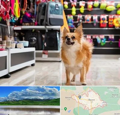 فروشگاه لوازم سگ در مرند