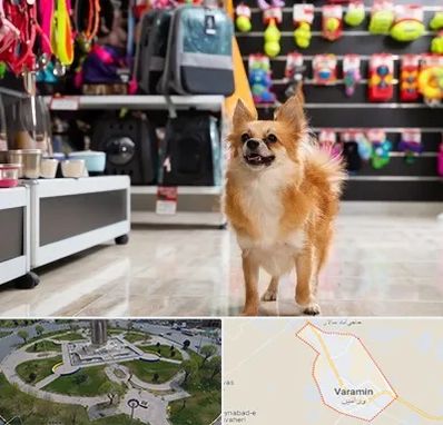 فروشگاه لوازم سگ در ورامین