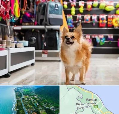 فروشگاه لوازم سگ در رامسر