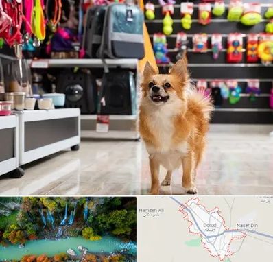 فروشگاه لوازم سگ در دورود