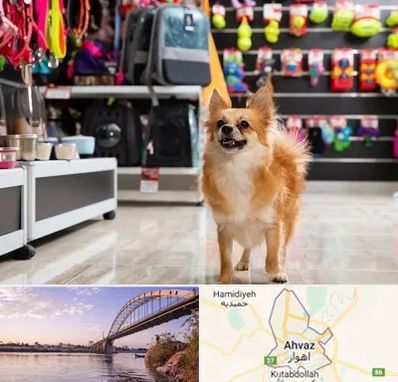 فروشگاه لوازم سگ در اهواز