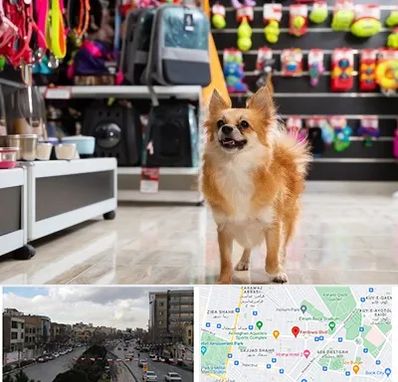 فروشگاه لوازم سگ در بلوار فردوسی مشهد