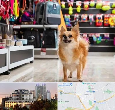 فروشگاه لوازم سگ در فرشته 