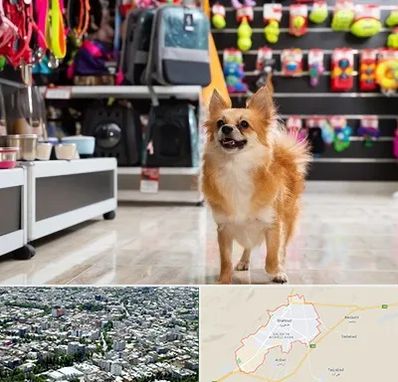 فروشگاه لوازم سگ در شاهرود