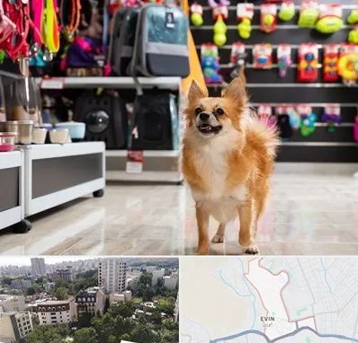 فروشگاه لوازم سگ در اوین