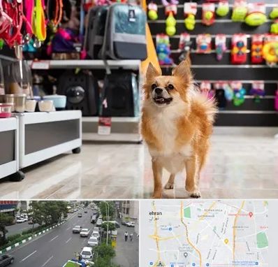 فروشگاه لوازم سگ در ستارخان 