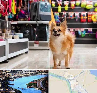 فروشگاه لوازم سگ در خرمشهر