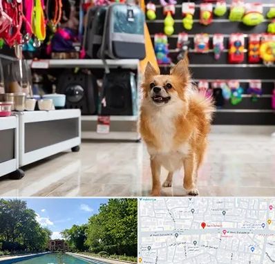 فروشگاه لوازم سگ در هشت بهشت اصفهان