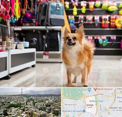 فروشگاه لوازم سگ در گیشا