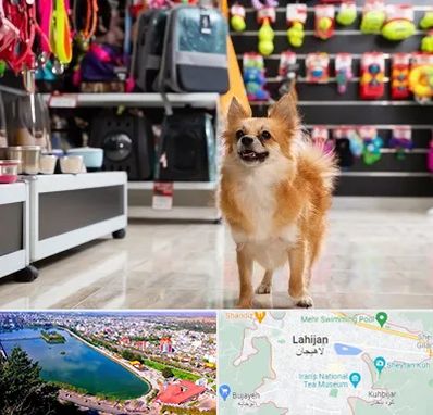 فروشگاه لوازم سگ در لاهیجان