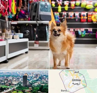 فروشگاه لوازم سگ در ارومیه