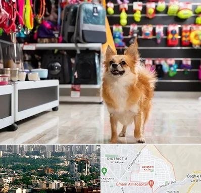 فروشگاه لوازم سگ در عظیمیه کرج