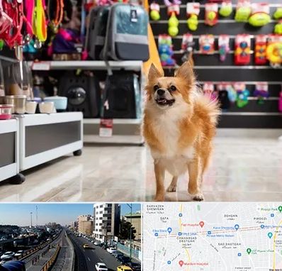 فروشگاه لوازم سگ در پیروزی